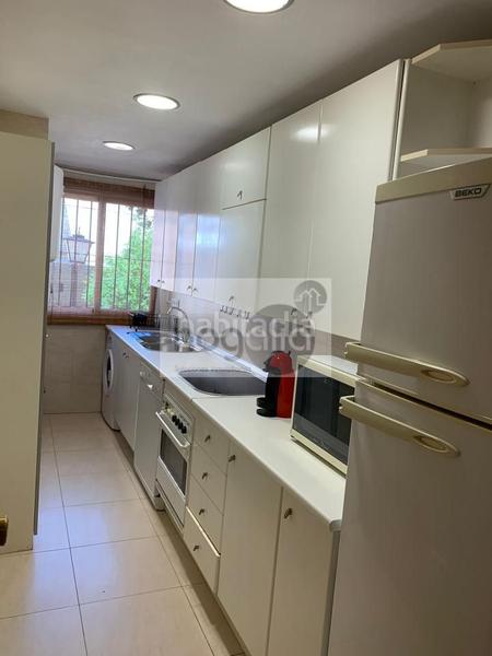 Foto 6b32ee17-3f3b-45f3-bd74-7e504b109131. Alquiler piso en El Porvenir Sevilla