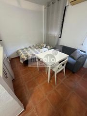 Miete Studiowohnung in Bami - La Estrella
