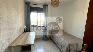 Rent Flat in Triana Oeste