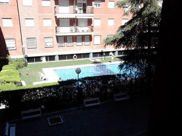 Foto 161aa079-1a79-480e-bd09-c2628fc7d4e3. Lloguer pis amb piscina a Palmete Sevilla