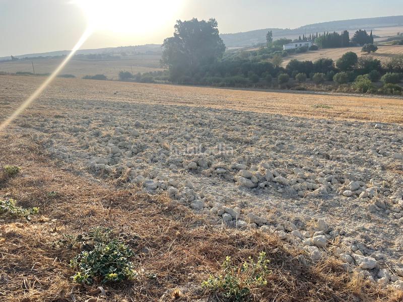 Foto 11efd08a-884a-4e8b-9301-3c2c84524c55. Masía finca rustica en Arcos de la Frontera