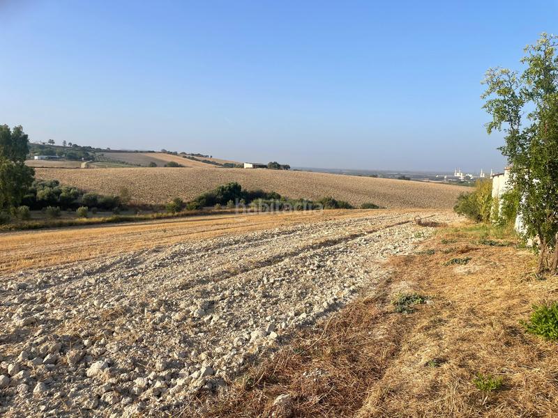 Foto 2a6e6d5d-99a1-40c4-bec9-3a3355c21429. Masía finca rustica en Arcos de la Frontera