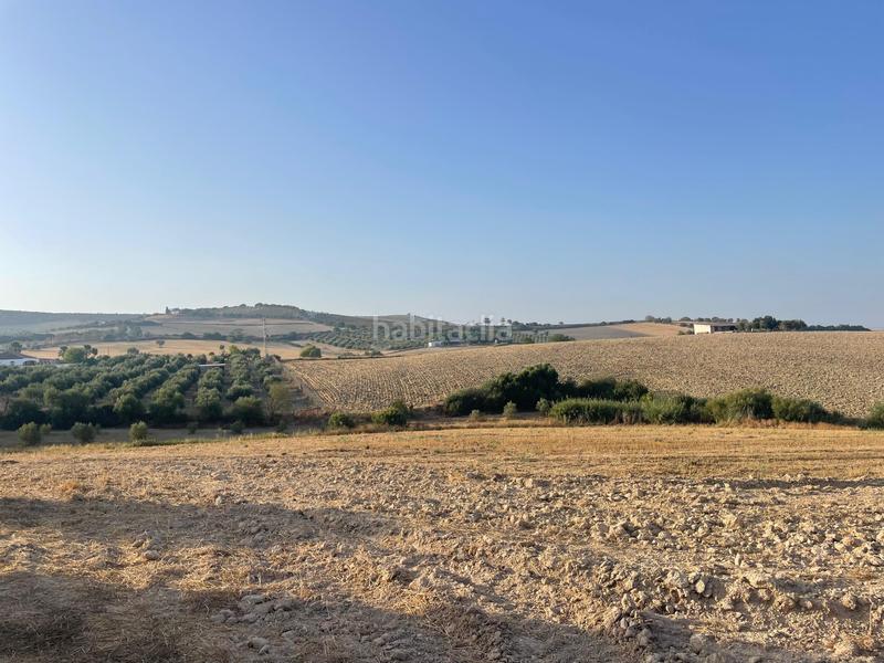 Foto 6cbeaa5d-414f-4741-9408-31c1070ba93f. Masía finca rustica en Arcos de la Frontera