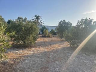 Masia a Arcos de la Frontera. Finca rustica en arcos de la frontera