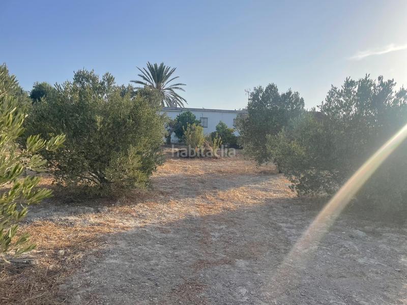 Foto 7831636b-e37d-4d86-8579-c712f07bf1d9. Masía finca rustica en Arcos de la Frontera