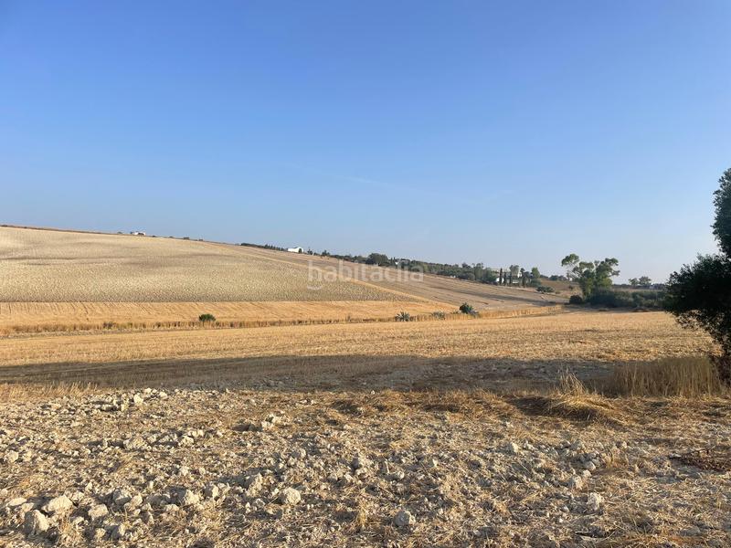 Foto e4e7e5f4-95b7-4cca-abeb-4c89f47b7d84. Masía finca rustica en Arcos de la Frontera