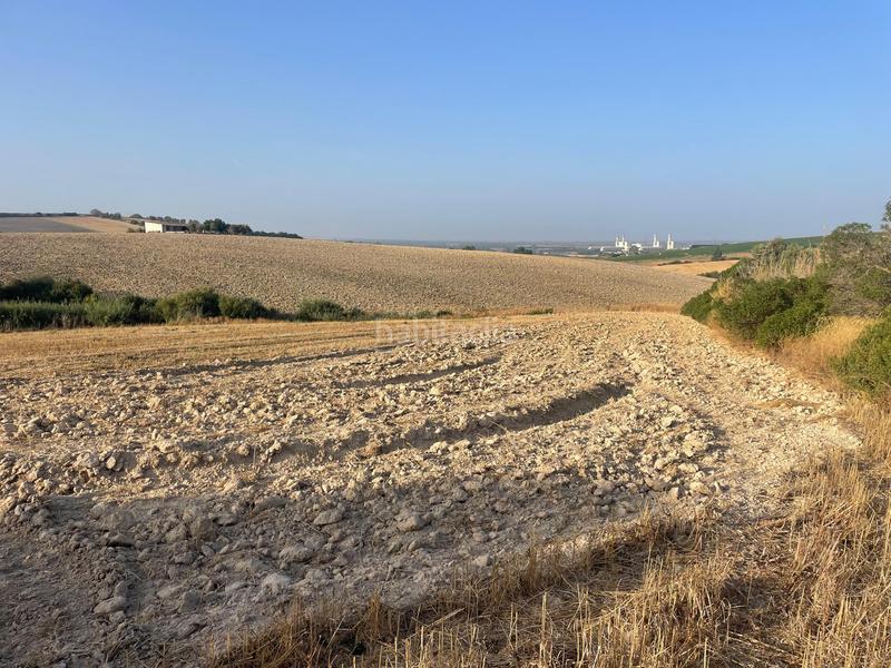 Foto f0096529-eead-426e-8af0-ee4d457808f4. Masía finca rustica en Arcos de la Frontera
