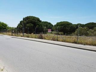 Terreny residencial a Cuatro Pinos - El Carmen. Suelo urbanizable en la hijuela del tio prieto