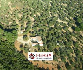 Chalet in Arcos de la Frontera. Finca de recreo en dehesa de alcornoques  arcos de la frontera