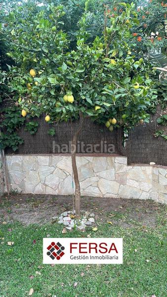 Foto f611a4a3-a859-4e4d-bcb2-095a1a38b066. Alquiler casa adosada amplio adosado en alquiler de temporada escolar en El Manantial en Puerto de Santa María (El)