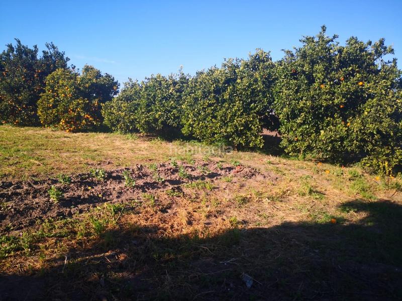 Foto 14c4932c-40c1-41ab-bf15-74d2719fc90b. Finca rústica a Barbate Barbate