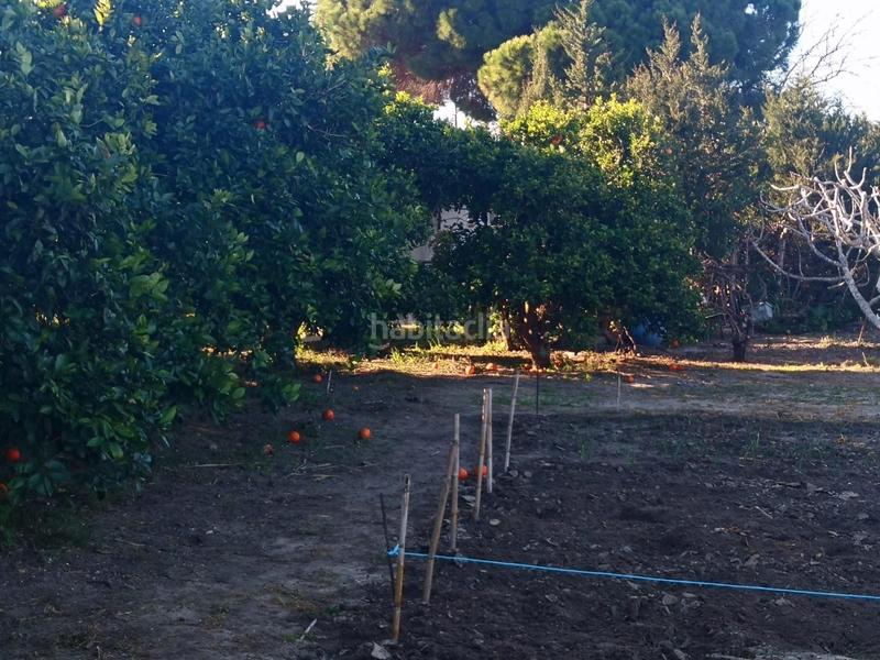 Foto 429a5346-fc49-45cf-a2d3-de030fd06935. Finca rústica a Barbate Barbate