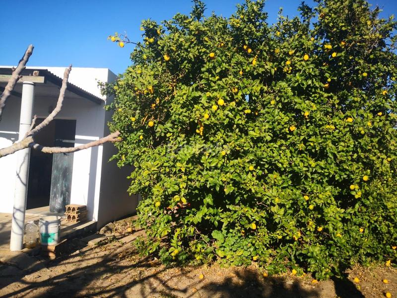 Foto 55ec79ca-c5b9-45cd-b9dc-f71234335830. Finca rústica a Barbate Barbate