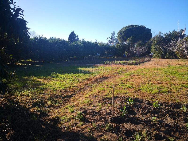 Foto a46f555b-ede9-42de-ba91-ee0517acd77d. Finca rústica a Barbate Barbate