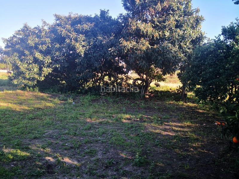 Foto bfcb0922-a39d-445b-a4c6-5c670944f032. Finca rústica a Barbate Barbate