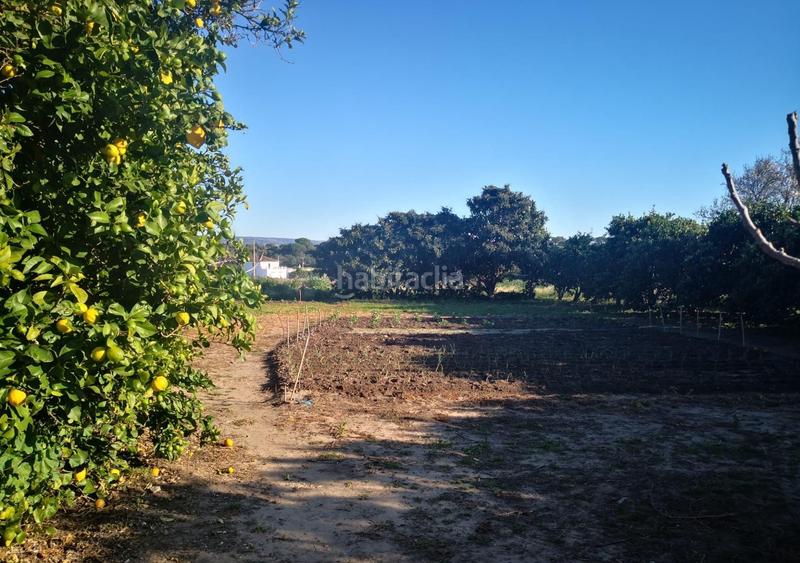 Foto cc71c70d-68bc-4e82-893e-147982180a66. Finca rústica a Barbate Barbate