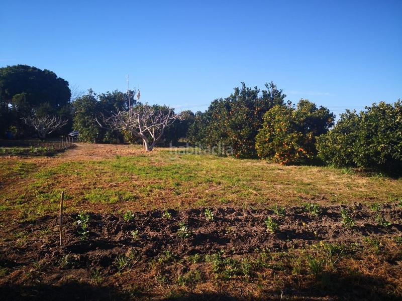 Foto e11864ab-2263-4f08-8529-530afb16888b. Finca rústica a Barbate Barbate