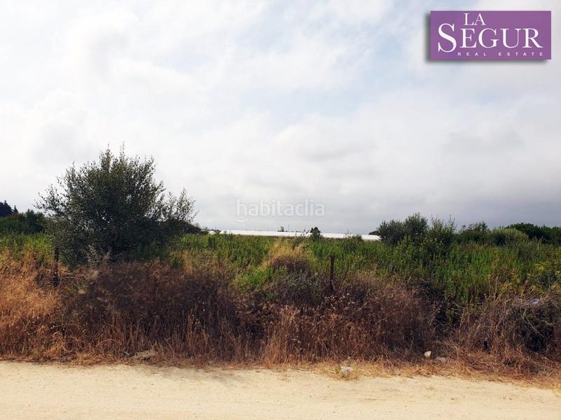 Foto 0ec1f795-206a-4340-a3f7-27b0302c7fa2. Fondo rustico in Conil Conil de la Frontera