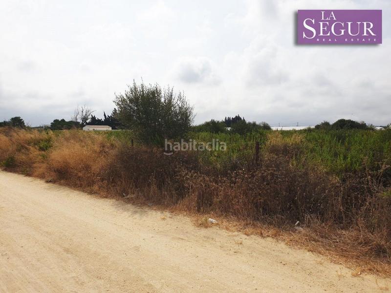 Foto fc0ff7c0-3440-4e7f-849c-38205023c37a. Fondo rustico in Conil Conil de la Frontera