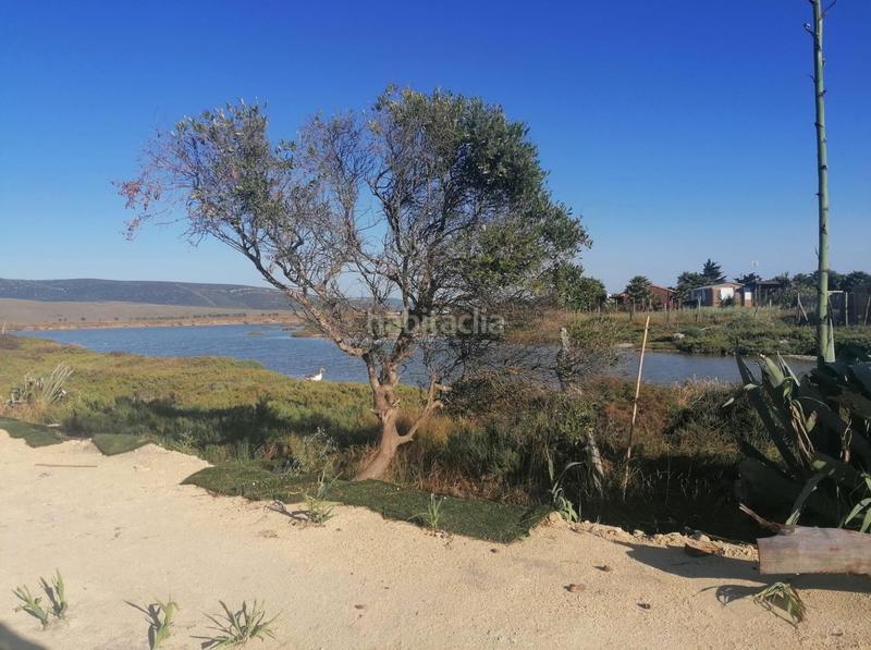 Foto 2ff14fd2-f7d5-49bf-aedf-51ac2d1c43e9. Finca rústica a Barbate Barbate