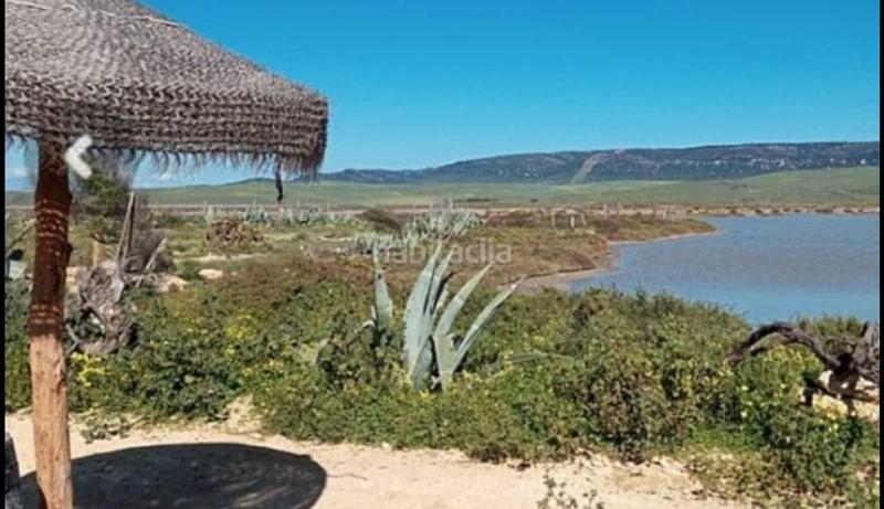 Foto 317c290c-a982-4433-aaa1-a41b08ecc111. Finca rústica a Barbate Barbate