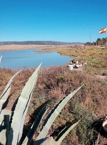 Foto e68fb665-6eca-491b-8867-ce07bdf5d617. Finca rústica a Barbate Barbate