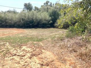 Terreny residencial a La Muela. Parcela en zona de la muela