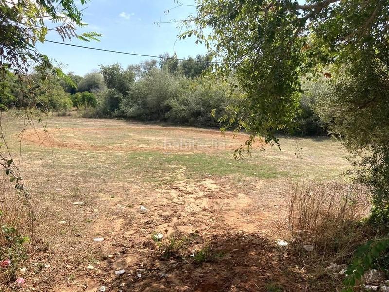 Foto 520ea6ef-cceb-46fb-b07a-c3862d2f8f5f. Terreny residencial a La Muela Vejer de la Frontera