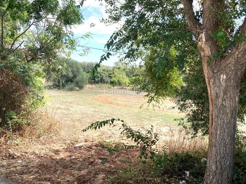 Foto e7908285-1058-407a-8f99-b3c3b183dd77. Terreny residencial a La Muela Vejer de la Frontera