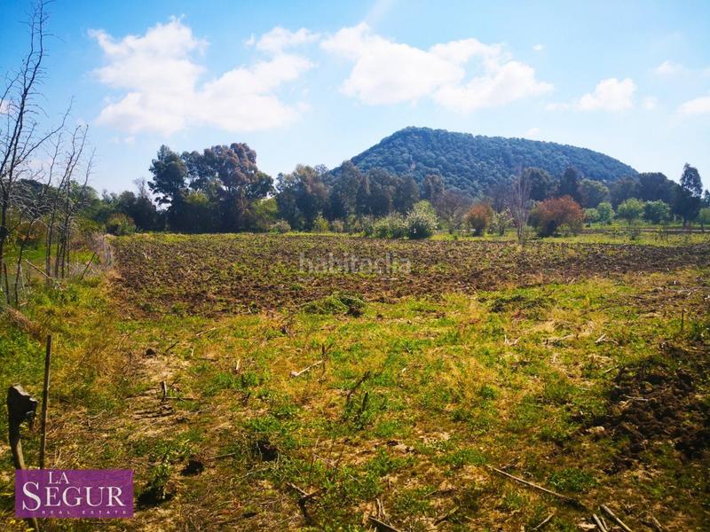 Foto 39badd02-1db3-411d-8327-044ec286500f. Fondo rustico in Vejer Vejer de la Frontera