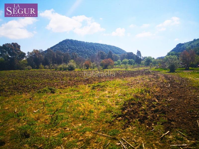 Foto d5a97fb6-6081-4e1f-8847-b8423ad5fcee. Fondo rustico in Vejer Vejer de la Frontera