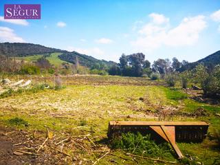 Finca rústica a Vejer. Parcela rústica segregada en vejer a menos de diez minutos de la