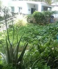 Finca rústica a Vejer. Parcela rustica proindiviso en santa lucia