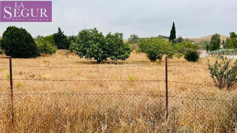 Foto 3860e9db-7fe9-4c3b-b7c4-ce209807532b. Casale in Medina Sidonia