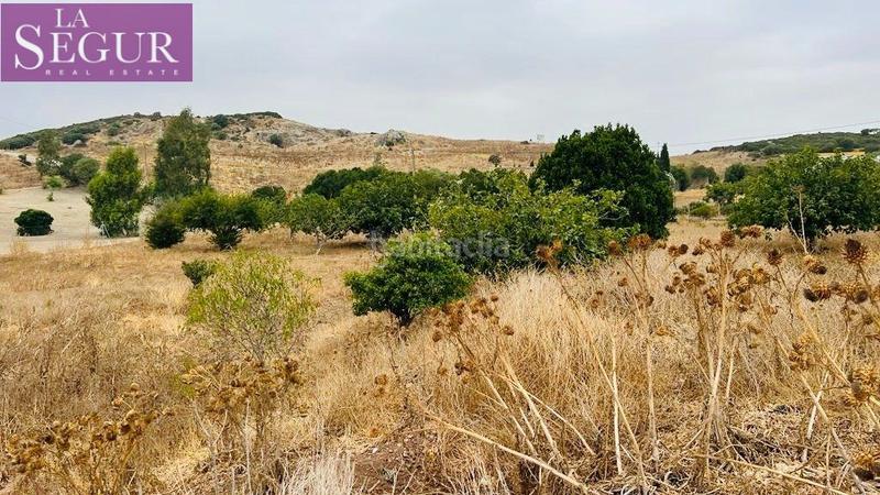 Foto 96f8c5ae-d2d1-4b74-8f98-71ffa005328c. Casale in Medina Sidonia