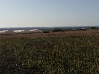 Finca rústica a Conil. Parcela rustica en la vigia