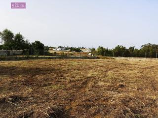 Terreny residencial a Conil. Parcela  en conil de la frontera fuente del gallo