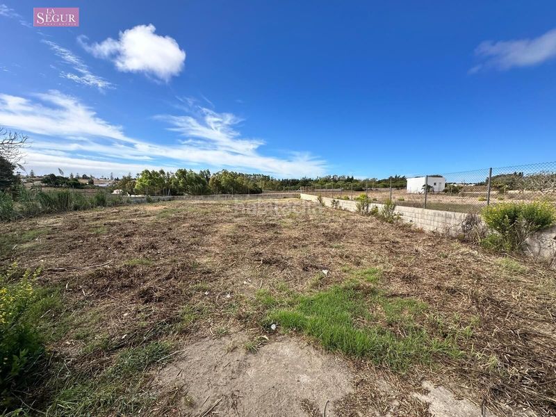 Foto 4d17a1bd-6c21-49c9-9aa6-ff232e85fa46. Finca rústica a Conil Conil de la Frontera