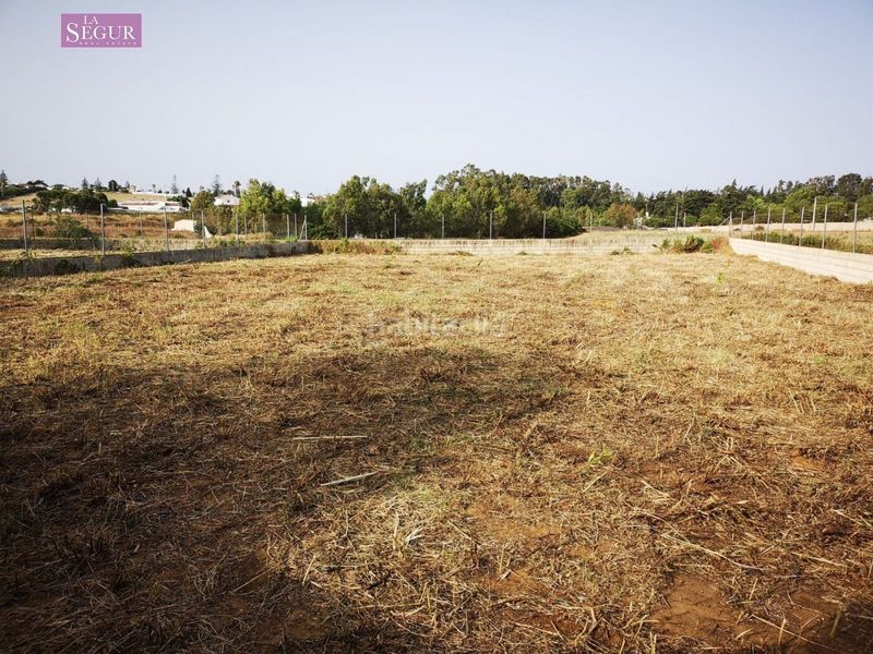 Foto cb7ee773-e8b9-48d8-a5bf-723cca8913d9. Finca rústica a Conil Conil de la Frontera