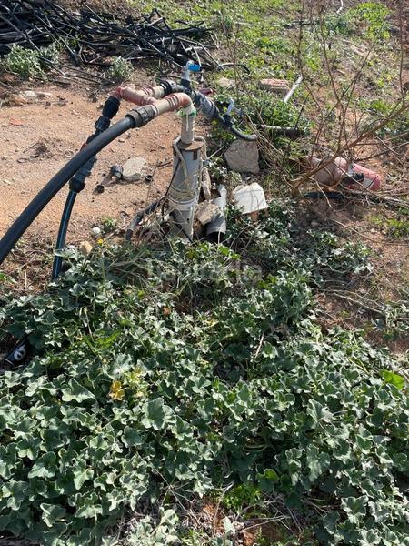 Foto 22aedec2-0401-4f54-bf55-36af311e00f4. Fondo rustico in Barrio Nuevo Conil de la Frontera