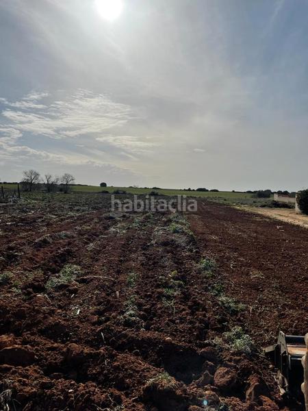 Foto 6def6cb1-58f8-41e9-a96f-99c372392e89. Fondo rustico in Barrio Nuevo Conil de la Frontera