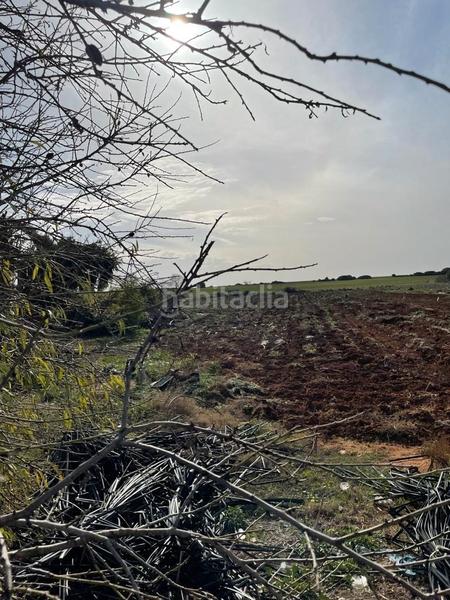 Foto 85942772-627b-42b4-936c-a70d93cb6963. Fondo rustico in Barrio Nuevo Conil de la Frontera