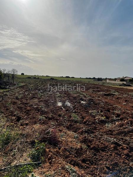 Foto f3ddd2e2-0860-42ec-8925-4326bf2d0cd1. Fondo rustico in Barrio Nuevo Conil de la Frontera