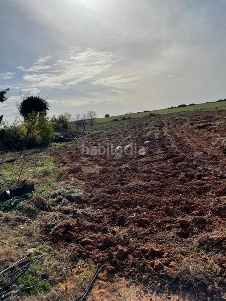 Foto f8a13fd4-163b-442c-a92b-fe818ca6e159. Fondo rustico in Barrio Nuevo Conil de la Frontera