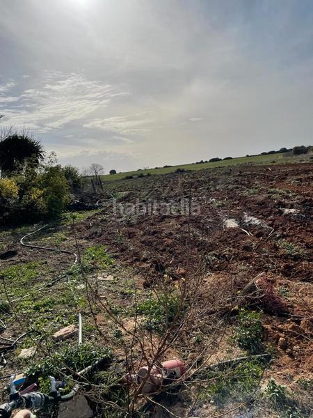 Foto f8f842a3-333e-4e0a-9948-9fa76c6b1020. Fondo rustico in Barrio Nuevo Conil de la Frontera