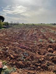 Finca rústica a Barrio Nuevo. Parcela  rústica en zona barrio nuevo