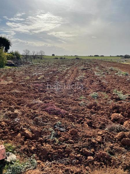 Foto ffcd3e87-a606-40fa-8bab-fcfa757471fd. Fondo rustico in Barrio Nuevo Conil de la Frontera