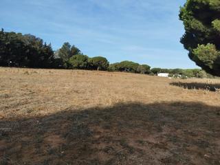Finca rústica a Vejer. Parcela rustica en la muela