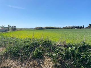 Finca rústica a Conil. Parcela rústica  en conil carril de verón