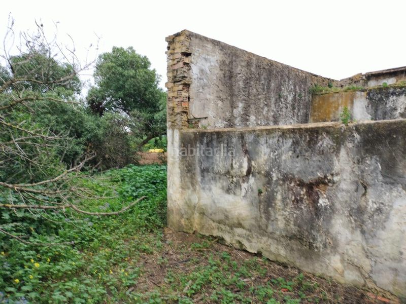 Foto d17822f9-45eb-4982-838f-d0829e45b4b5. Finca rústica a Pelagatos - Pago del Humo Chiclana de la Frontera